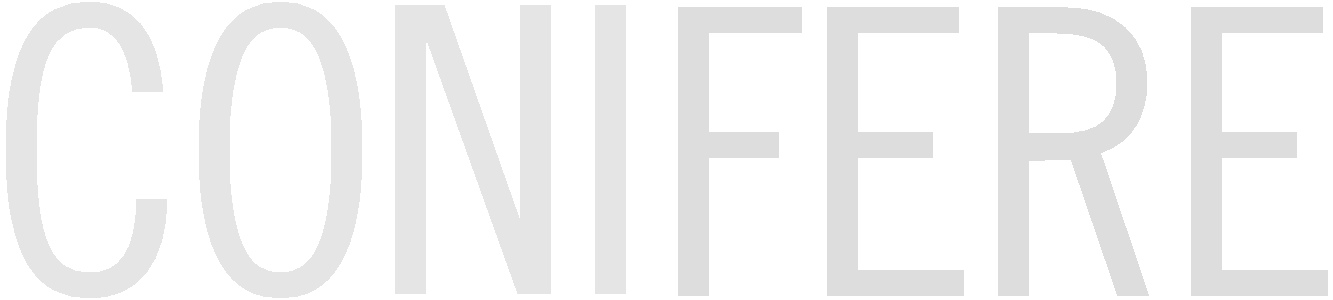 Startseite Conifere Text Decoration